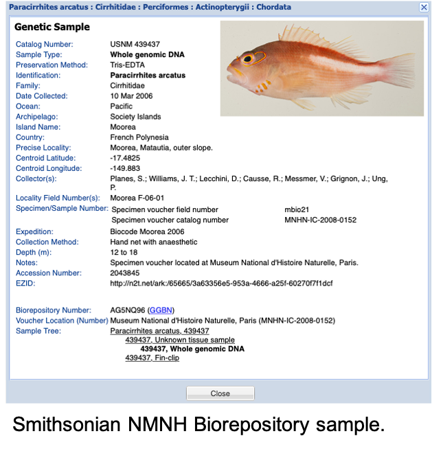 Smithsonian NMNH Biorepository sample.